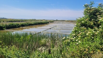 Kervalet, commune de Batz sur Mer, Loire Atlantique, Pays de Loire, France, Europe