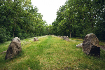 Megalithgrab Visbeker Braut, Niedersachsen, Juni 2024