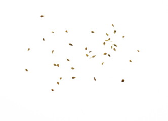 Obraz premium Pile of of dried anise seed (aniseed) isolated on white background. 