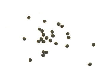 Okra seeds on white isolated background