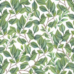 Green abstract leaves. Seamless pattern of lush foliage. Forest leaf plants. Intertwining stems. Watercolor illustration of tree branches. Simple rustic ornate for package, textile