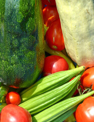 A variety of different vegetables. zucchini, tomatoes, okra, beets...