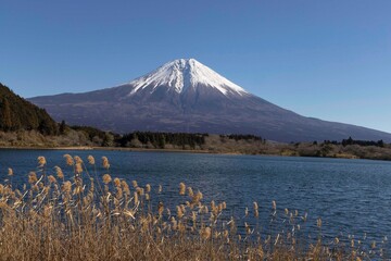 mountain in autumn