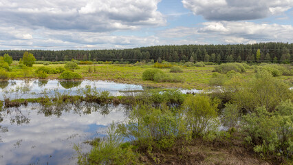 A majestic river winds its way through a dense, vibrant green forest, creating a mesmerizing scene of natures beauty and tranquility