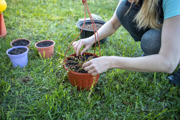 A woman gracefully kneels down to pick up a potted plant from the ground, surrounded by vibrant...