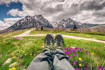 A hiker wearing sturdy boots pauses to admire wildflowers while trekking through the picturesque...