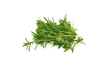 A bunch of garden savory or summer savory isolated on white. (Satureja hortensis)