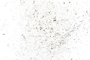 Pieces of broken black wooden coal isolated on white background 