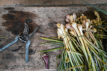 Bunch of fresh onionon wooden table