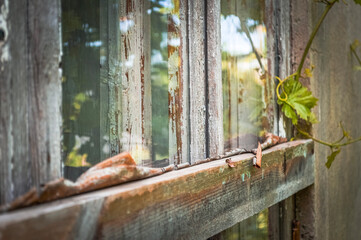Village house window