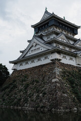 Close-Up of Traditional Japanese Castle and Trees