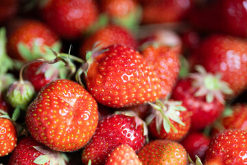 Fresh red juicy strawberries detail