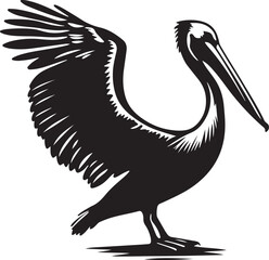 illustration of a pelican