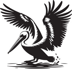illustration of a pelican