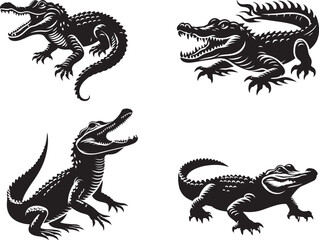 the crocodile on black