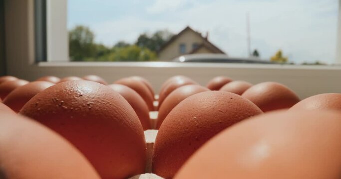 Healthy Fresh Chicken Eggs in Egg Carton