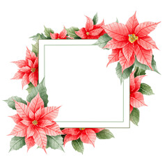 Watercolor Hand drawn illustration Christmas compositions with poinsettia flowers Frame for holiday invitation, card design clipart print new year decor for print, label, invitation design 