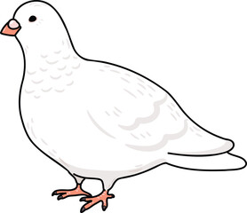 Simple and adorable outlined white Dove illustration