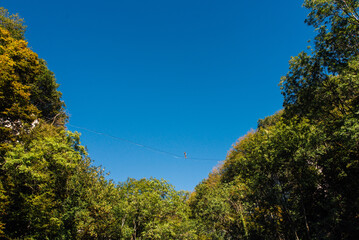 un funambule dans la nature. Funambule en extérieur naturel. Acrobate sur un fil en hauteur. Funambule sur une corde tendue. Funambulisme dehors.. Equilibre