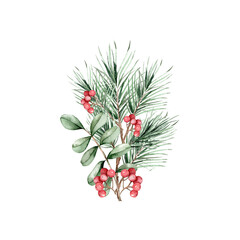 Watercolor Christmas illustration with fir branch, leaves and berries