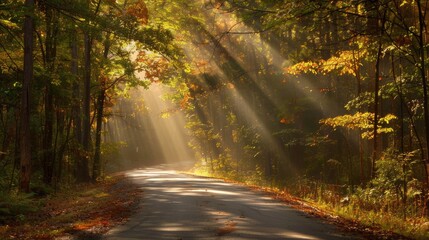 Obraz premium Back Road. Rustic Country Lane in North Carolina, Bathed in Autumn Sunlight