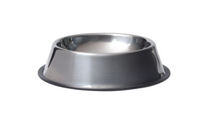 Stainless steel dog empty bowl isolated on white background