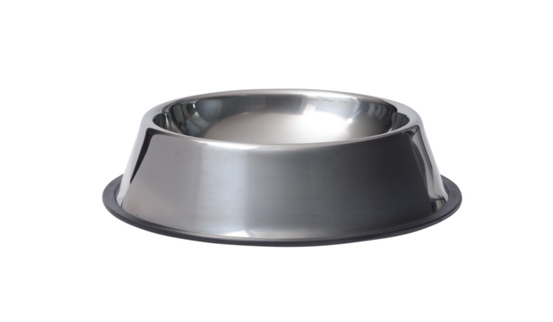Stainless steel dog empty bowl isolated on white background