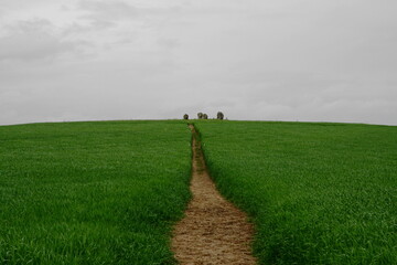 Duddu Five Stones in Northumberland, England, is a neolithic stone circle formed of sandstone that has been fissured by weathering