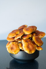 Brown mushrooms growing in a bowl vertical image with space for copy