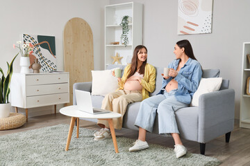 Pregnant female friends drinking tea on sofa at home