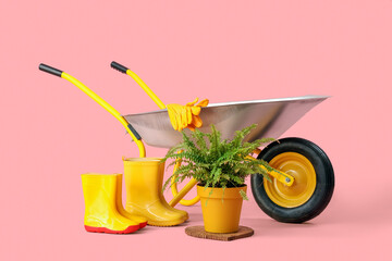 Gardening supplies, plant and wheelbarrow on pink background