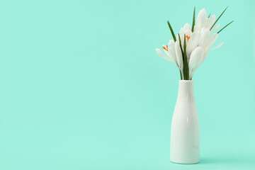Vase with beautiful white crocus flowers on turquoise background