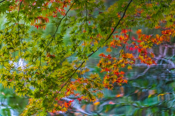 Colorful Autumn Leaves Water Reflection Lake Heian Shrine Kyoto Japan