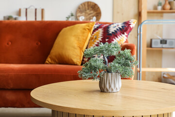 Cozy sofa and coffee table with plant in living room