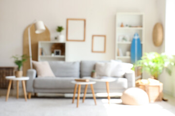 Comfortable sofa and coffee tables in living room