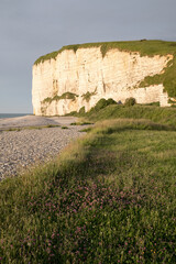 Chalk Cliffs on a Normandy Beach