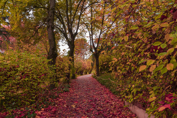 photography of the capriccio park in madrid