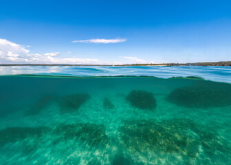 Fototapeta premium Actioncam underwater seascape capture during snorkeling at croatia, adriatic sea