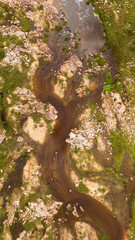 Rio em Oliven&ccedil;a-AL