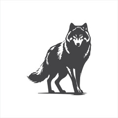 wolf vector illustration