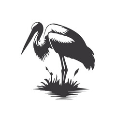 stork in the water