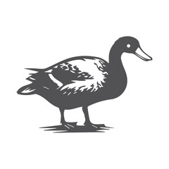 illustration of a duck