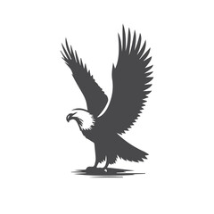 bald eagle in flight