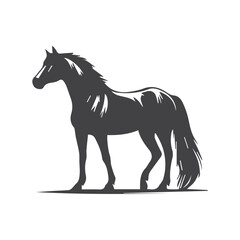 horse silhouette isolated on white