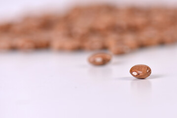 raw bean grain seeds for food natural healthy food seed for planting