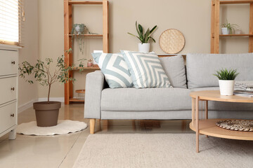 Interior of living room with grey sofa, coffee table and plants