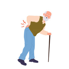 Fototapeta premium Old senior man cartoon character with cane stick suffering from strong rheumatic back pain
