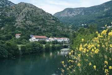 River in the mountains in Montenegro 