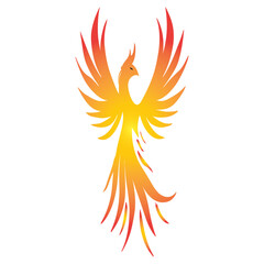 Phoenix fire bird logo template