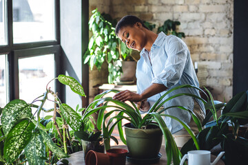 Relaxing leisure hobby concept, spring home gardening. Young African American housewife taking care...